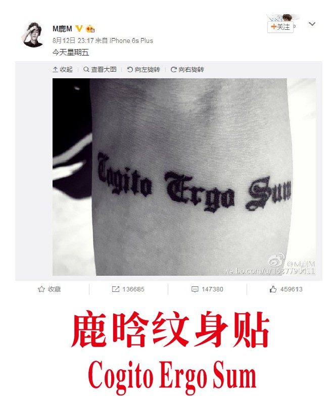 Lu Han tattoo stickers Cogito Ergo Sum Latin hand I think so I am in M deer M men and women waterproof letters