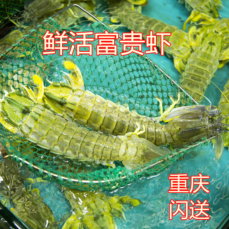 Thailand's fresh rich shrimp with paste seafood aquaculture super pest shrimp shrimp shrimp 2 - 4 only 1 kg