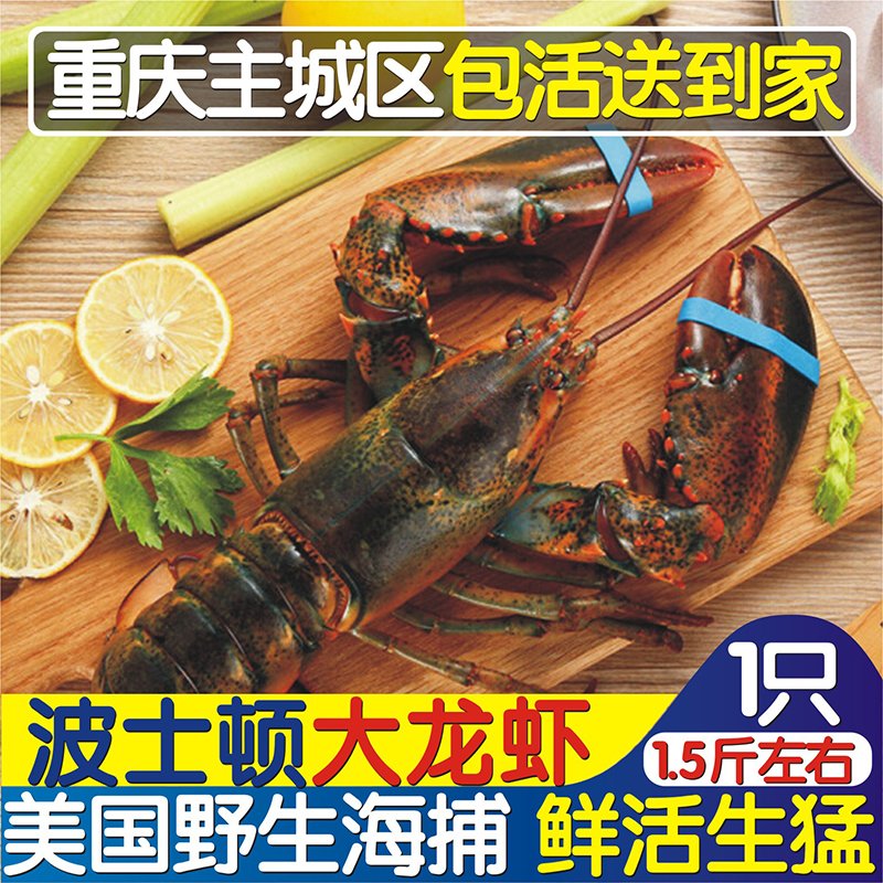 Boston lobster 1 fresh live large lobster Boston Canadian shrimp live super large Bolong 1 5 catties Chongqing - Taobao