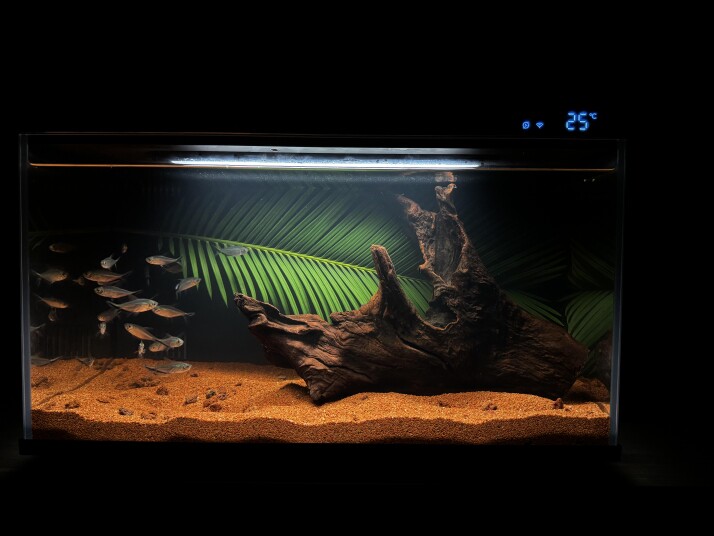 水族园艺用品