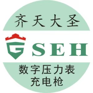 GSEH齐天大圣  品牌店