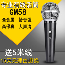SM5 with wired microphone home KTV home microphone amplifier audio guitar playing and singing conference performance with line
