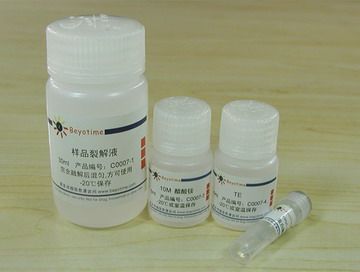 Beyotime Cell Apoptosis-DNA Ladder Drawing Kit C0007