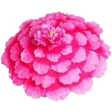 Peony Umbrella Dance Props сцена с большими масштабными вечеринками, выступающими на зонтичном зонтике, зонтиках с зонтиком