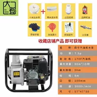 4 -INCH Бензиновый насос [Пакет]