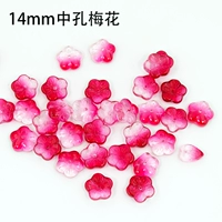 14 -миллиметровый средний цветет сливы