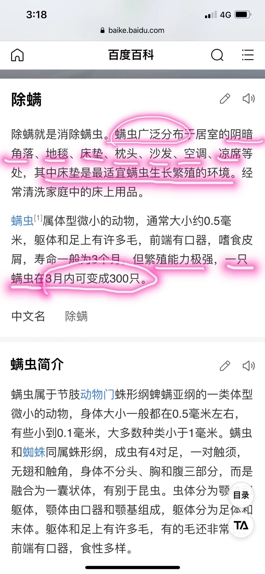 bình xịt raid Nhật Bản 螨 螨 贴 贴 螨 螨 家用 家用 家用 家用 家用 家用 家用 家用 家用 家用 - Thuốc diệt côn trùng bình xịt côn trùng loại nào tốt