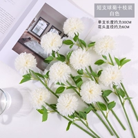 10 белых белых