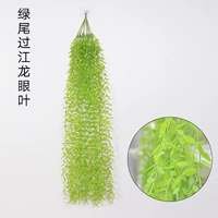 Зеленый хвост лист