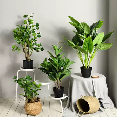 Large Nordic simulation plant landing wealth tree bonsai interior decoration fake flower potted living room green plant decoration tree