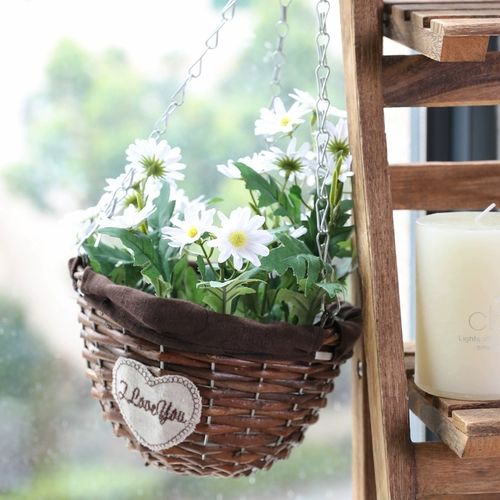 Висящая корзина цветочная стена -на балконе с балконами декоративные цветочные виноградные лозы.