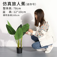 78 -сантиметровый банан