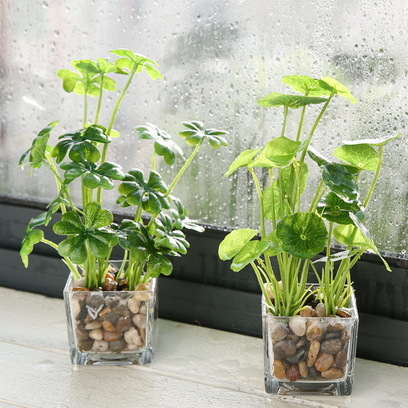 Four-leaf clover fake green plant indoor simulation plant decoration flower succulent ornament living room office table gold Ge small potted plant