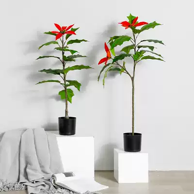 Large landing Poinsettia bonsai Nordic simulation plant interior decoration flower fake potted living room green plant ornaments tree