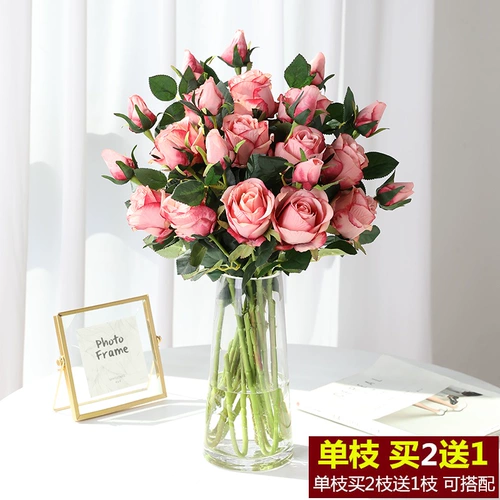 姞鍒 澶嶅 ╀ 淇 筜浠 湡鐜  懓鑺 懓鑺 潫瀹 潫瀹 ㈠ 巺瑁 骞 骞 姳 姳 姳 姳 ㈣ 鎻掕 姳 鎽 嗕 鑺 鑺