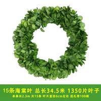 15 90 листьев листьев бегонии [поставка]]