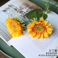 2 ветви подсолнечники