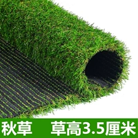 3,5 см Гао Цюкао [50 квадратных метров]