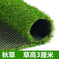 3 см высотой осенняя трава [50 квадратных метров]