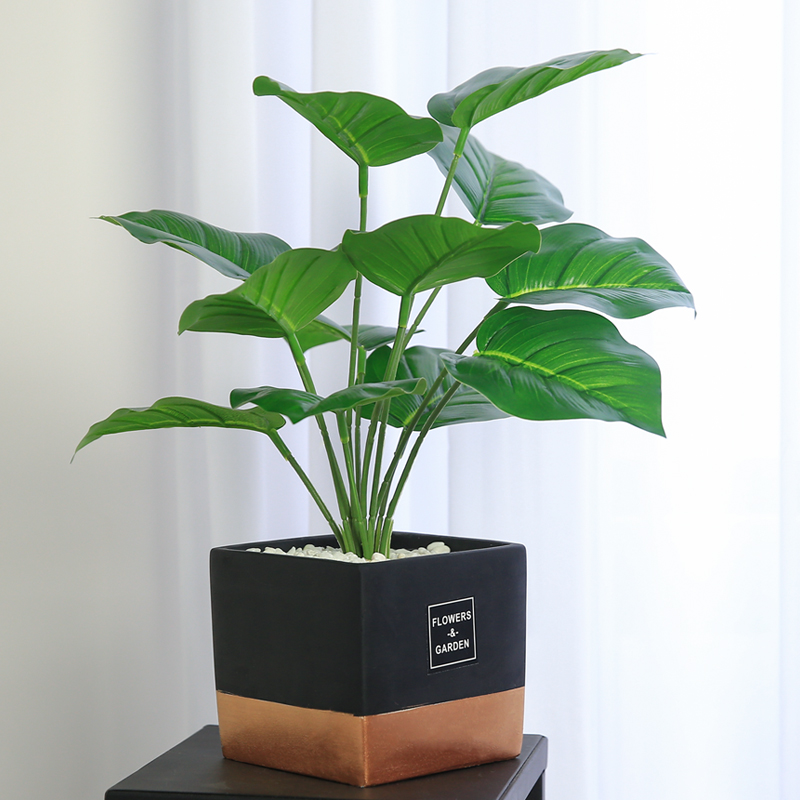 Nordic Ins Emulation Plant Decoration Gold Ge Small Potted Table Living Room Living-room Swing Piece Furnishing Indoor Green Plant Fake Bonsai