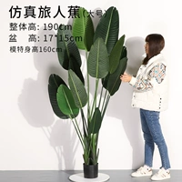 1.9 -meter Traveler Banana [Отправить плитую корзину]