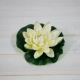 Hoa giả hoa giả trang trí hoa sen hoa cảnh nước trang trí phòng khách giả nước lily hoa văn hóa nước bể cá trang trí hoa - Hoa nhân tạo / Cây / Trái cây
