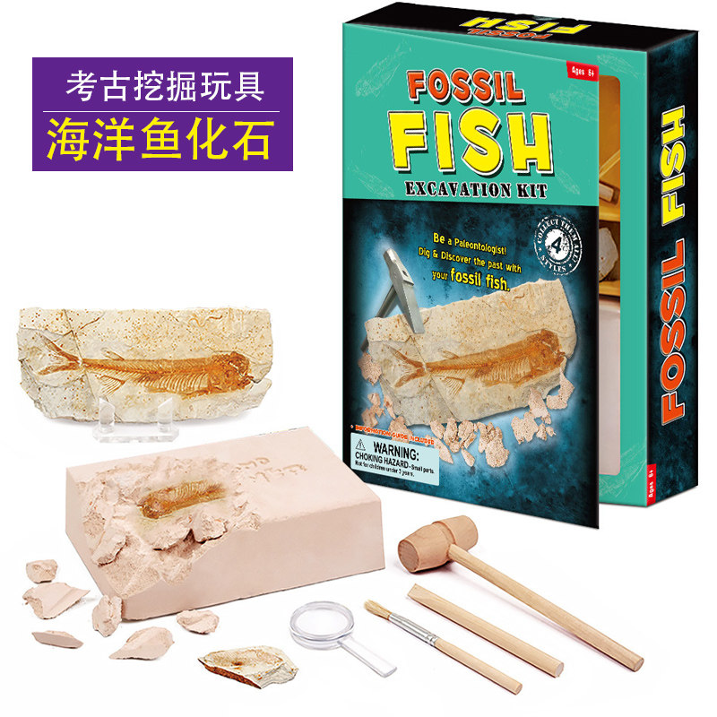 Ocean fish fossil archaeological excavation toy digging dinosaur Tyrannosaurus rex natural treasure crystal real gem children digging treasure
