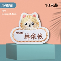 Установка Little Orange Cat 10