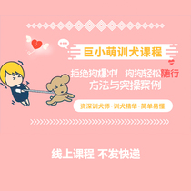 Giant small cute pet training training dog training dog courses to solve the problem of puppies bursting into a rush