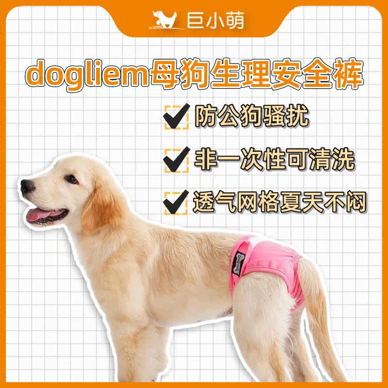 Giant Small Meng Doglemi Mother Dog Physiological Pants Pet Anti-Harassment Mating Teddy Golden Hair Menstrual Towel Breathable