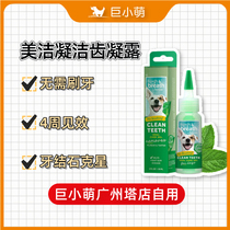 Giant small cute imports How beautiful it is to be a canine tooth gel except stomatosis Go to dental plaque condensation Dew Pet Clean Mouth
