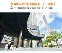 Giant Little Meng Pet Training Guangzhou Foster Dog Training Dog Training Dog Behavior adjusted to burst dog bites to fight