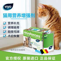 Giant Small Cute Belgian Viyo Kitty Nutrient Solution Strengthens Immune Mother Cat Postpostnatal Infant Cat Conditioning Gut