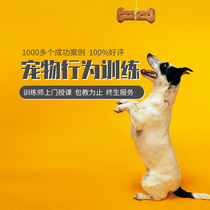 Giant Little Meng Training Dog Training Dog Division Door-to-door Pinpoint Defecation Dogs are convoquée sideline gold laine chai dogs Kirketedi training