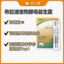 Giant Cute American Brady Pet Yeast Probiotic Cat Pooch Diarrhea Vomiting Soft Poo Conditioning Gut