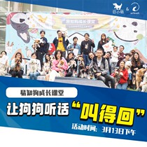 Guangzhou Yichi Dog Growth Classroom Line Lower Pet Gathering Training Dog Training Dog Sign up