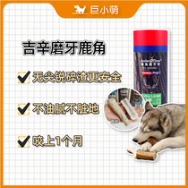 Giant small cute dog molars molars molars antlers good bones anti-calculi halitosis cleaning teeth relieving anxiety
