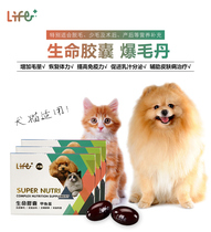 Giant Little Meng Taiwan Tiger Jan Life Capsule Burst Gross Tan Turtle Eggs Balls Meme Pregnancy Rush of Pregnancy Rush to Repair 60