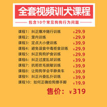 Giant Small Cute Pet Training Dog Training Dog Course Pooch Stakeout bark and scream for a person to be exchanged for a card