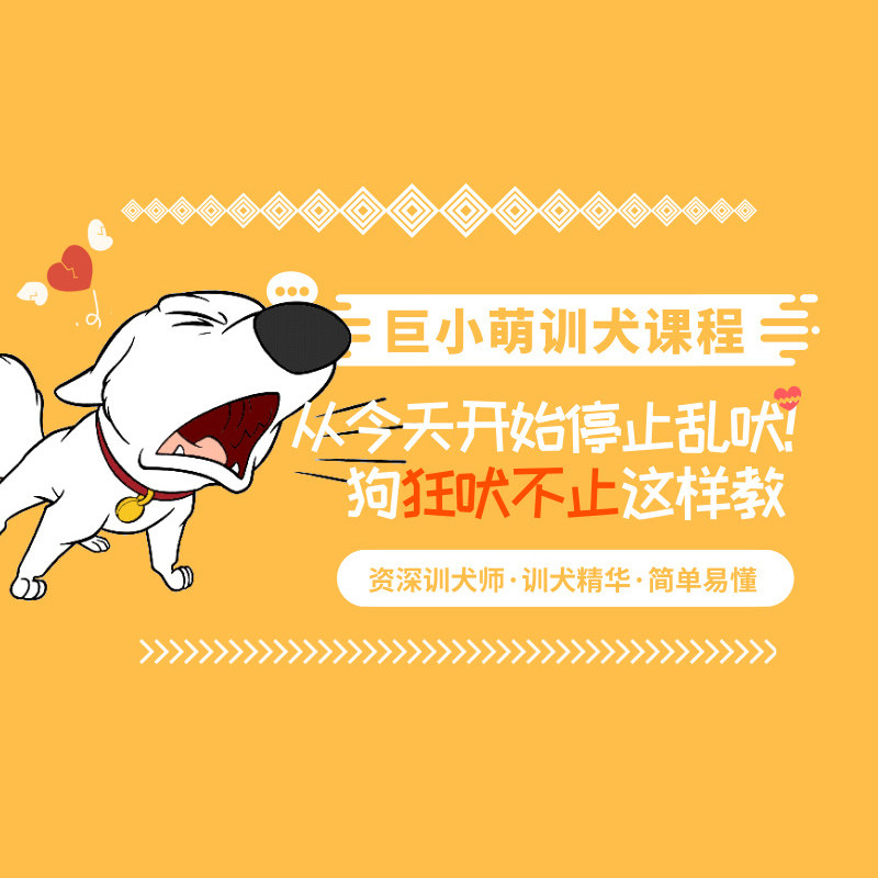 Pet training dog training course