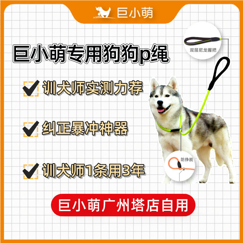 Giant Small Cute Dog Rope Dog Chain P Chain P Rope Walking Dog Traction Rope Training Explosion Protection Punching Ke Fund Fur Medium Dog Large Dog