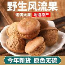 Guangxi Wild Fengliu Fruit with Double Kidneys Thick-Scale Ketose Fruit Glan-headed Fruit for Men Paired with Lycium Barbarum Magutu Bubble Wine Ingredients