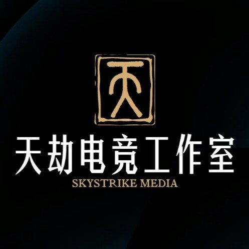天劫电竞工作室