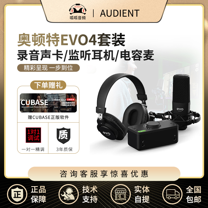 Audient Otonte EVO4 professional recording dubbing arranger live set external sound card microphone headset