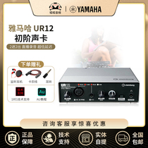 YAMAHA Yamaha sound card UR12 professional live dubbing audiobook K song arrangement dubbing recording equipment