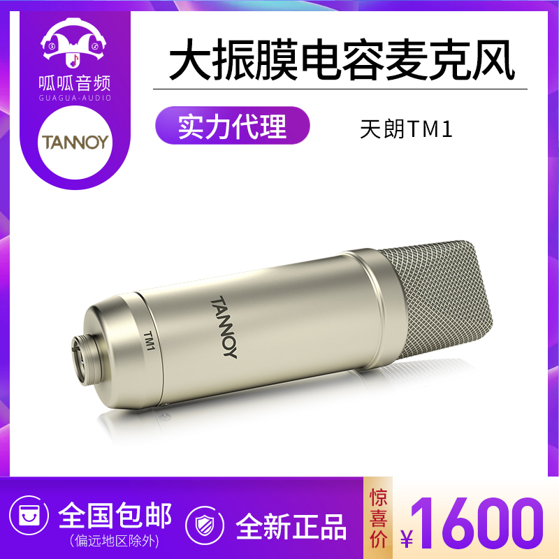 Tannoy Tianlang TM1 Large Diaphragm Condenser Microphone Professional Recording Condenser Microphone Set