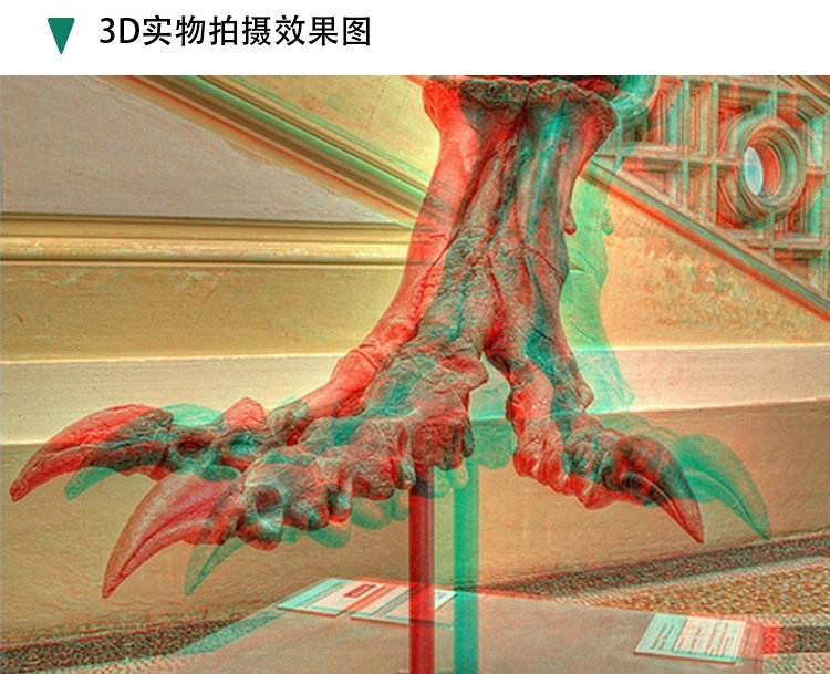 Lunettes 3D - Ref 2622859 Image 34