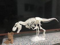 3D printing model customization service Animal model processing FDM Industrial grade high precision