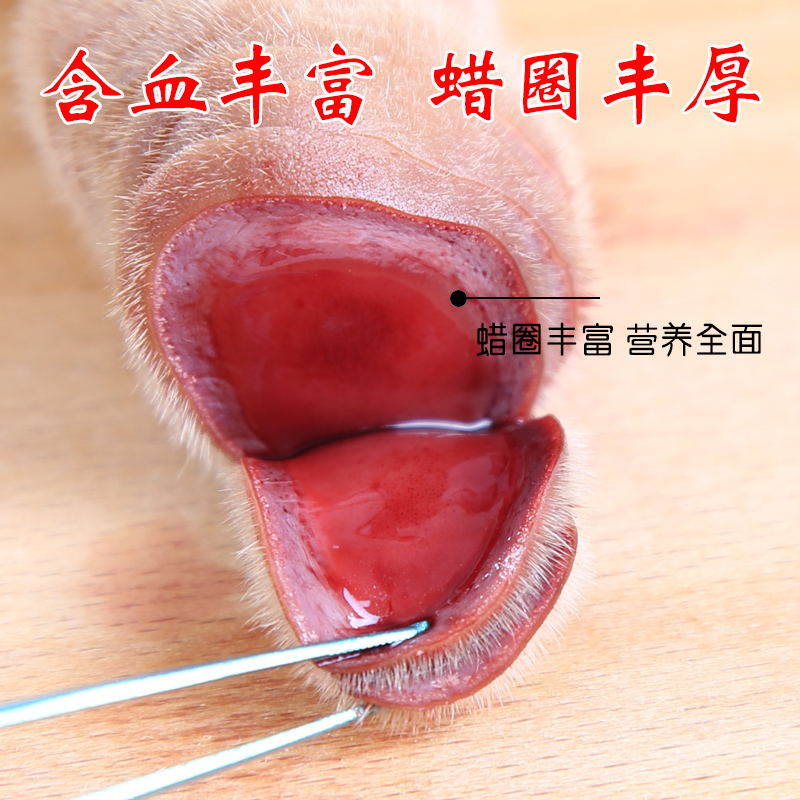 Jilin sika antler slices whole branches fresh antler slices 100g fresh blood soup fresh antler fresh blood