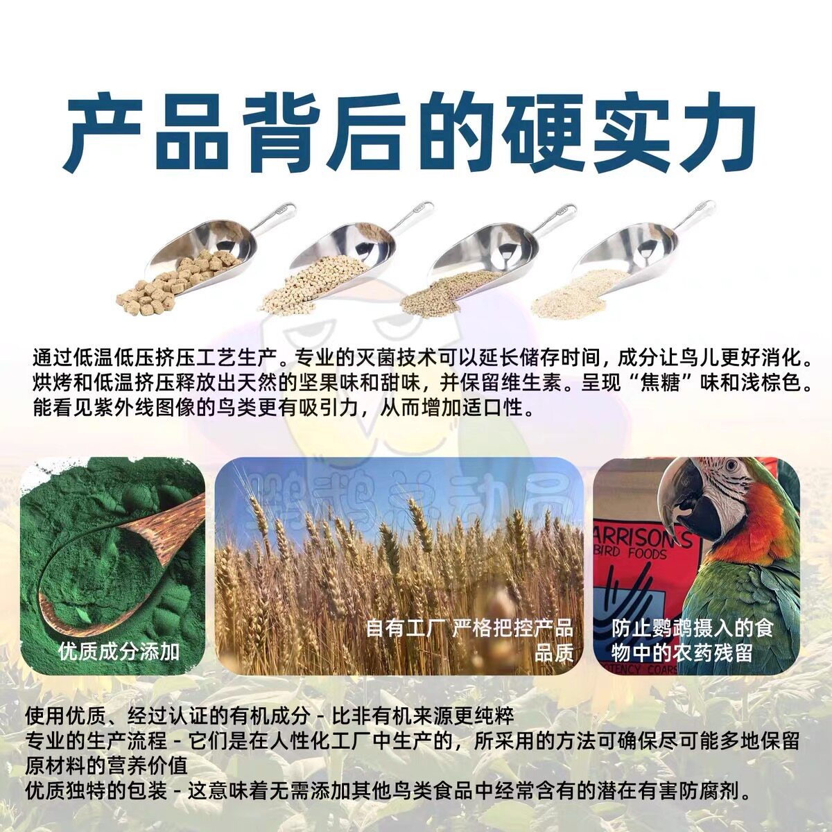 Harrison's organic parrot trea - Product image 7